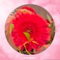ゆっぴょん🍓🍫🫧🫥💄❤️ (@z84654223) 's Twitter Profile Photo ゆっぴょん🍓🍫🫧🫥💄❤️ (@z84654223) 's Twitter Profile Photo