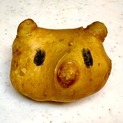 急に思い立ったので短歌をやってみます。おばさんです。アイコンは収穫したジャガイモがクマっぽかったやつ