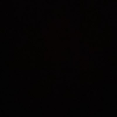 tine1356's profile picture. 