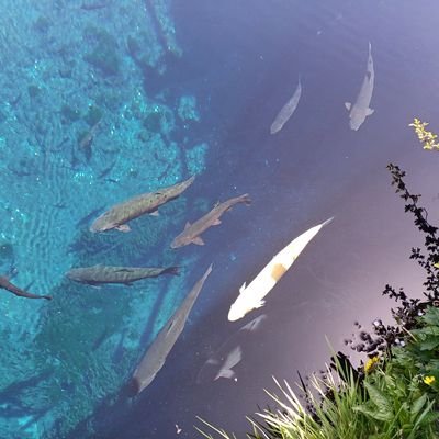 BRfcOBtEGz3177's profile picture. オカメインコ3羽飼ってます🦜
昨日より今日、感謝出来る人生を送りたいです😊