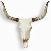 TEXASROCKCHANNEL (@texasrockfeed) 's Twitter Profile