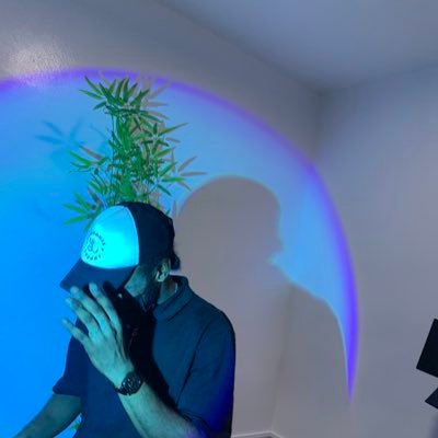 _Stevejnr's profile picture. Who lives in a pineapple under the sea?