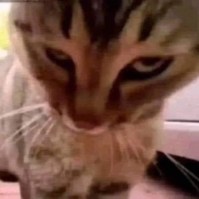 artmarknight's profile picture. 