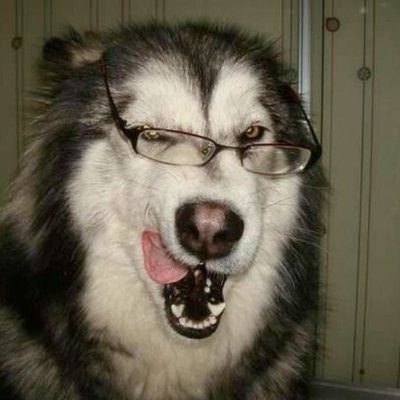hiighjinkies's profile picture. 
