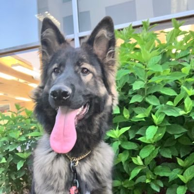 GOT2BE_IyanaT's profile picture. Toy is my name but don’t play with it 😘