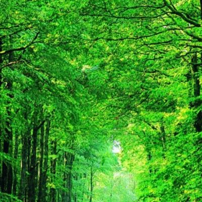 mG6Rm53h5w93895's profile picture. 🐷好きな言葉「必ず道がある 見つけ出しなさい」🐷諦めない事が大事🐷リチャードカールソン🐷ヨブ記🐷10数は帰一数🐷命懸けで産んで、育てた子供達は、今自由奔放に生きています🐷カメ吉🐢🩵🐷ラジオ体操、やるのとやらないのでは大違いなのだが、、🐷DMは返信していません🙇