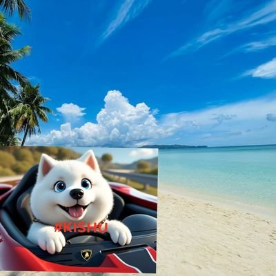 I believe that miracles happen every day. ✨ 🙏
#DogelonMars 🚀 #Milady #MOG 💎
#SHIB #PEPE #KISHU #BabyDogeCoin 🙏