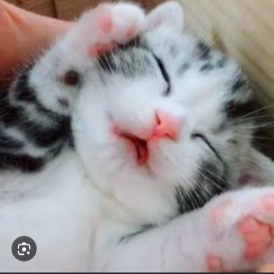 選挙に行こう!日本を守ろう!移民推進•外国人生活保護•増税•再生化エネルギー反対!帰化•外国人不動産購入規制厳格化を!🇨🇳🇰🇷等の反日国大嫌い!日本と国民のために活動する保守政治家を支持