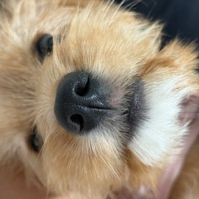 lfxgm_'s profile picture. 