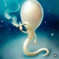 brosix (@xisorb0) 's Twitter Profile Photo