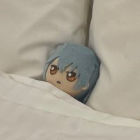 ほんじつのねぬ (@disce_omnis) 's Twitter Profile