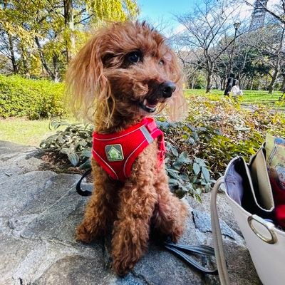 Neo_10260813's profile picture. 