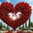raqiba43's profile image