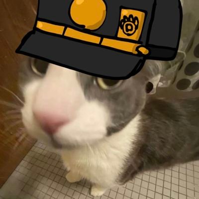 YeahBoi135's profile picture. 