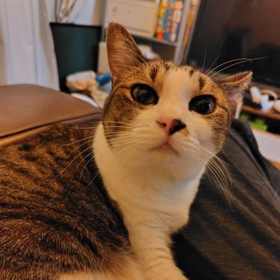 ogt2357's profile picture. 人形劇役者、人形操演、人形製作の仕事をしてます。+โปรดิวเซอร์.
いつまでも子供番組から目が離せない大人です。告知と引用が多め。
お仕事やご相談はメールにｵﾈｶﾞｲｼﾏｽ。
ogatachoko@gmail.com