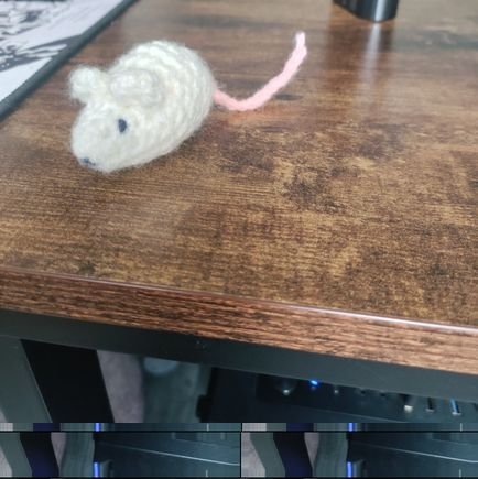 plank2831's profile picture. 