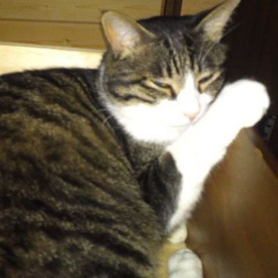 iskeya20022's profile picture. 世の中は99.9%の茶番と0.09%のよい事

   そして0.01%は　各個人　自分が考え抜いた自分なりの真実

とか、格好良いハズい事言っちゃってます