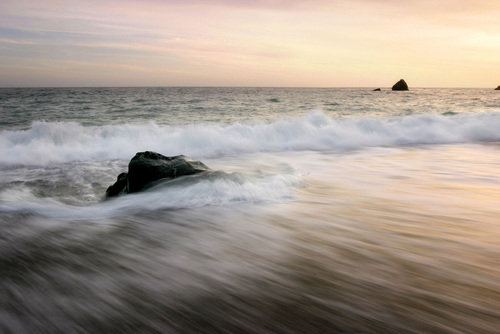 geriaberri's profile picture. 