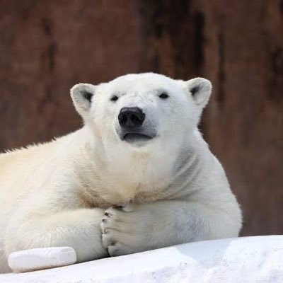 45450721Master's profile picture. 私を敵に回した（リムった）やつは全員56す ただ1回虚言吐いただけで喧嘩売った影宮は今すぐ引退しろ。お前とは絶縁