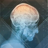 Piotr (@piotr_req) 's Twitter Profile