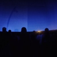 D (@otroximoron) 's Twitter Profile