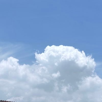 pangyumzo's profile picture. 2002 | 천천히 가는 중 | 퓨즈 ˙Ⱉ˙