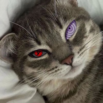 d_xeus's profile picture. Base chad