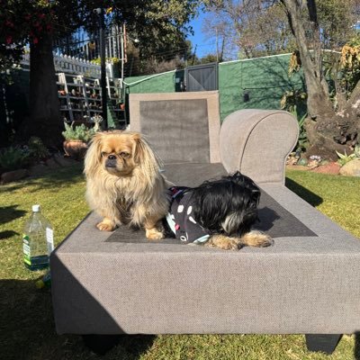 SandiA39804's profile picture. 