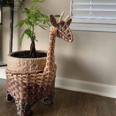 kingasher042's profile picture. Passionate about connecting with new faces and sharing stories, I thrive on meeting people.