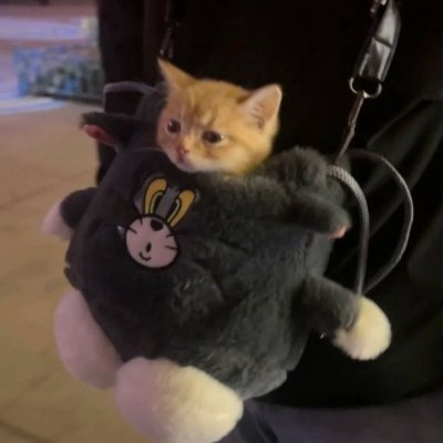 PatoBoloGnaise's profile picture. Editor and Chillmaxxer