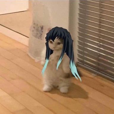 ⠀⠀⠀⠀⠀⠀⠀⠀ જ⁀➴ มัมหมีมุยมุย ᥫ᭡ ⠀⠀⠀⠀⠀ ⠀⠀⠀⠀⠀⠀⠀⠀⠀⠀⠀⠀⠀⠀ ⠀⠀⠀⠀⠀⠀⠀⠀⠀⠀⠀⠀⠀⠀ ⠀⠀⠀⠀⠀⠀⠀⠀⠀⠀⠀⠀⠀⠀ ⠀⠀⠀⠀⠀⠀⠀⠀⠀⠀⠀⠀⠀⠀ ⠀⠀⠀⠀⠀⠀⠀⠀⠀⠀⠀⠀⠀⠀
