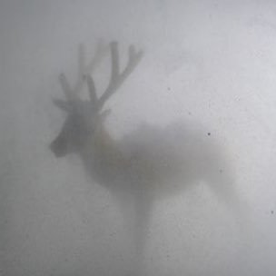 may5ummer's profile picture. 