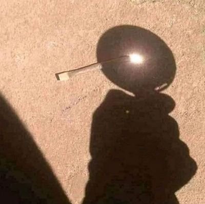 Randomuser79282's profile picture. 