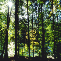 latisha3bl's profile picture. ヴィーガン、クロスワードを趣味とする多様性を尊重人物です。コワーキングスペースを利用、新しい挑戦を続けています。