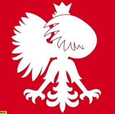 Miłośnik Słowian kompozytów i historii.