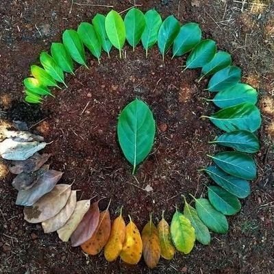 BirIdealimizVar's profile picture. Hayat bir öğrenme ve gelişim sürecidir.