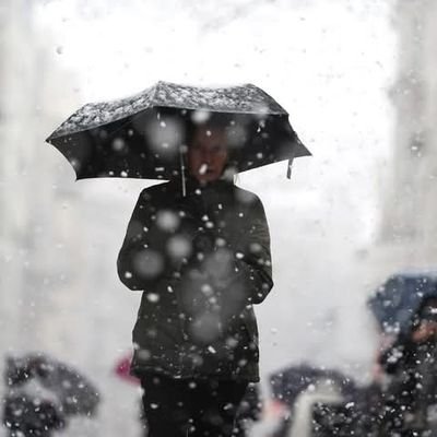 NajjarHady's profile picture. 