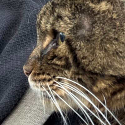 foolboy001's profile picture.