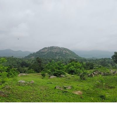 saleragpsk39139's profile picture. VCE salera