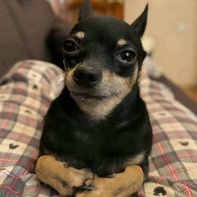 emi_cool12's profile picture. Wsg twin