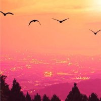 Dilara (@dilara04m) 's Twitter Profile