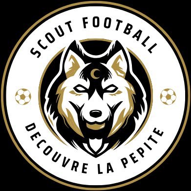 🔎 Scouting football | Analyses, profils & datas 📊 Mise en lumière des talents 🌍🤝 Collaborations passées avec clubs de N1 & N2 📩 Contact DM
