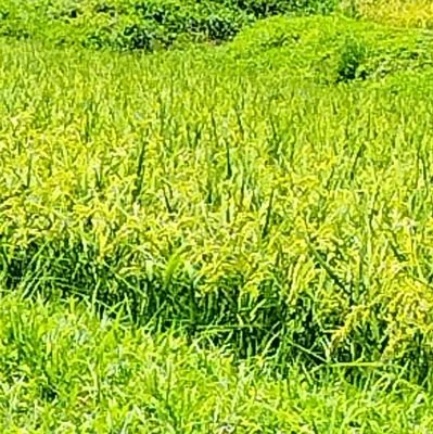 6uBxl's profile picture. 学校行きながらゲームしてる14歳です。