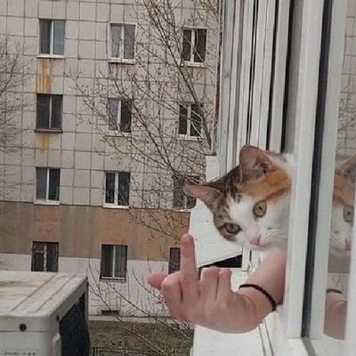 Frl_Im_Walde's profile picture. Man wird was man tut.