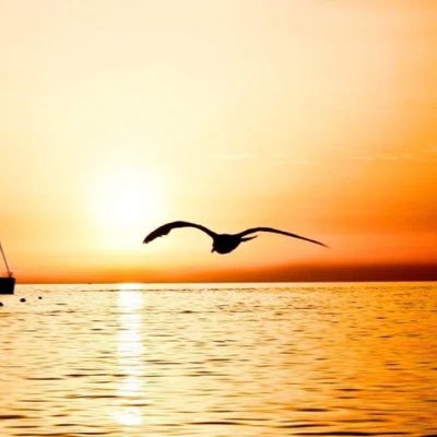 credo_davon's profile picture. 