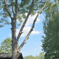 M (@mrusiufenix) 's Twitter Profile