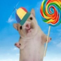 양논 (@yangnon_gb) 's Twitter Profile Photo 양논 (@yangnon_gb) 's Twitter Profile Photo