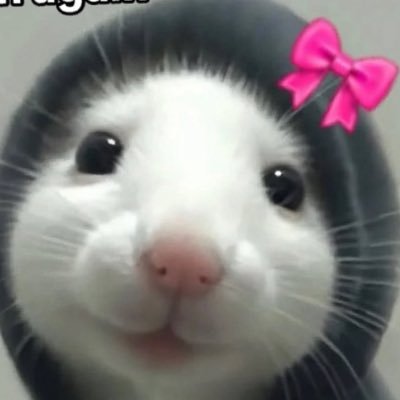 AthenaCOD_'s profile picture. 22 | 🏳️‍⚧️she/her