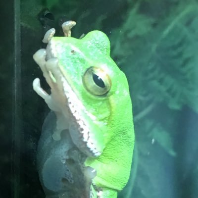 ブンジさんのプロフィール画像