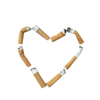 littlespider233's profile picture. wb：牙齿特别多的人
🍠：牙齿特别多